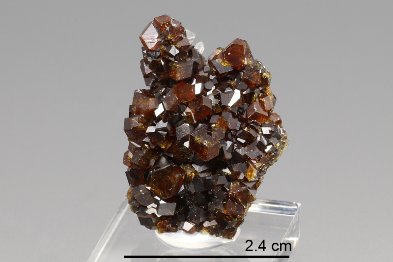 Garnet (Andradite)